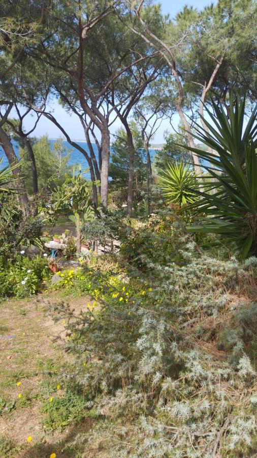 Cettina 3 Mt 50 Dal Mare